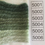 5001-5006