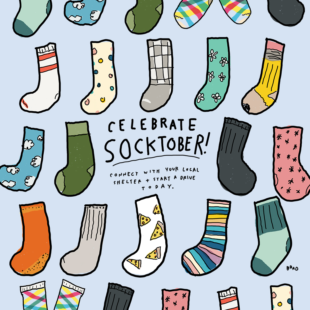 hand drawn graphic featuring several different patterned socks with the words 'Celebrate Socktober!'