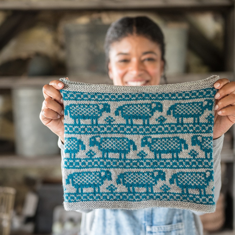 A woman in the background holds a colorwork pattern in turquoise and gray depicting rows of sheep