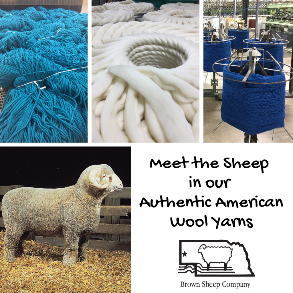 Behind the Fleece: Meet the Sheep in Our Authentic American Wool Yarn